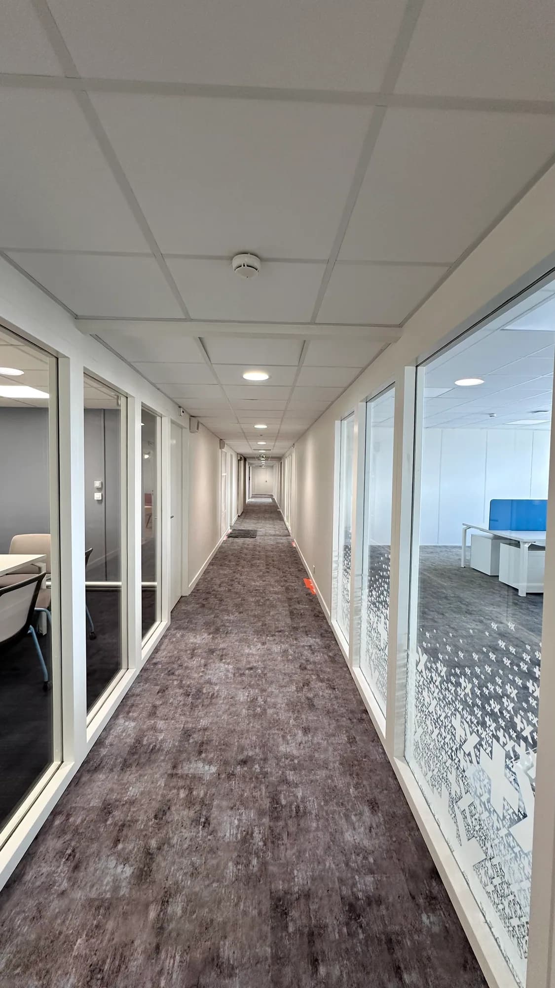 Long couloir de bureaux avec moquette, portes et cloisons vitrées